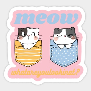 Cute cat in the pocket Sticker